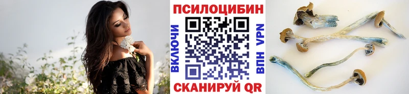Галлюциногенные грибы мухоморы  купить закладку  Щёкино 